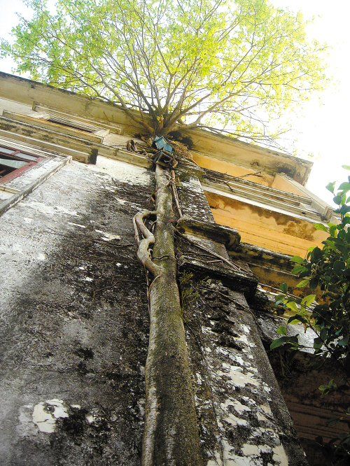 中国有多少人口农村_...省婺源汪口村 中国古村落 江南第一祠(3)