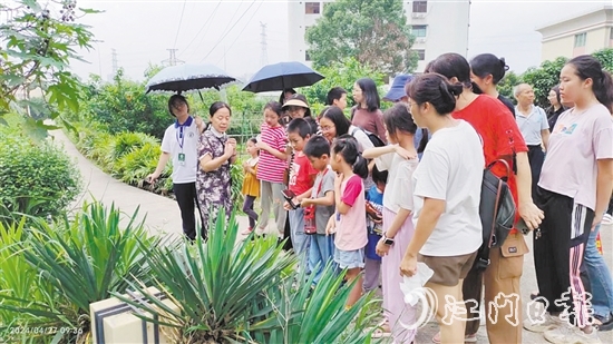 市民在岭南药用植物园学习辨认常用的药用植物。