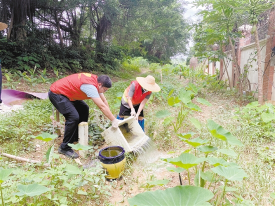工作人员清理环境积水。