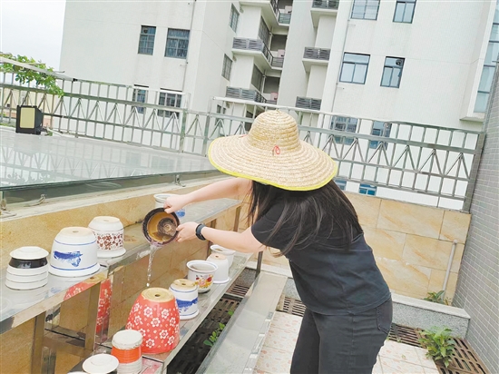 市民清理闲置积水容器，防止蚊虫孳生。