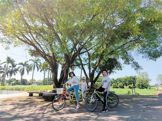 深圳游客在江门畅享“3.3精彩之旅”。