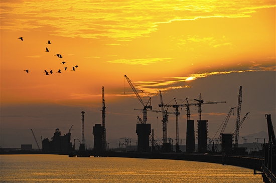 落日黄昏下，水鸟成群飞过黄茅海跨海通道。