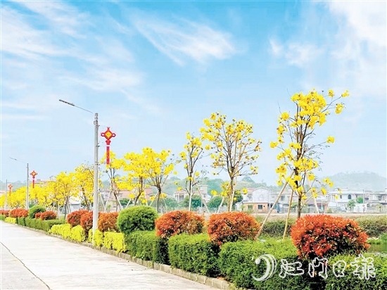 南合村的“颜值”不断提升。