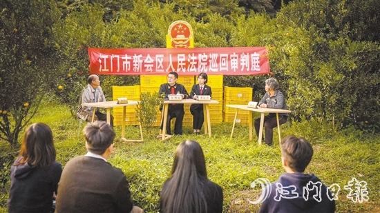 会城法庭干警就一起随意倾倒柑肉致相邻种植户柑树受损案进行巡回审判。
