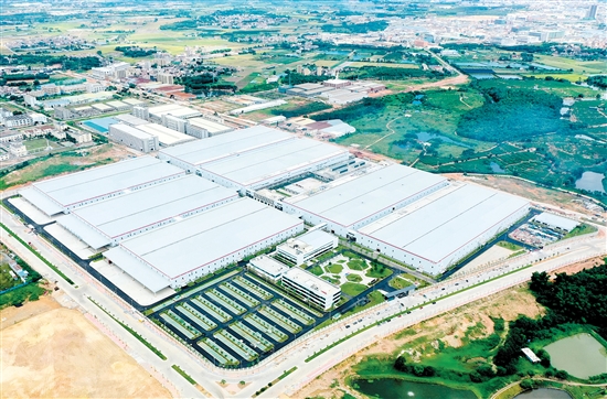 鹤山隆基光伏科技有限公司坚持节能、环保、可持续发展的理念，打造了一座具有时尚感的工业建筑和现代绿色工厂。麦和幸