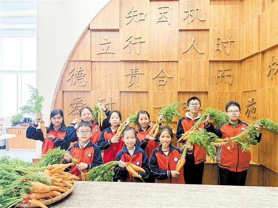 江海区景贤小学寒假志趣作业获奖学生收到了该校学生亲手栽种的胡萝卜。
