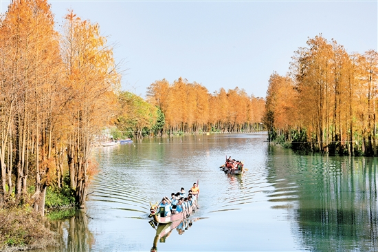礼乐龙舟训练基地风景如画。