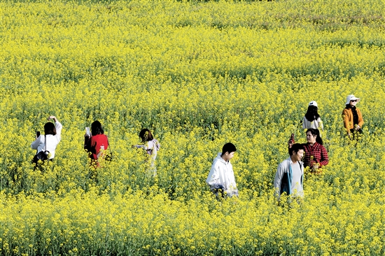 都市农业生态园一年四季都游人如织。