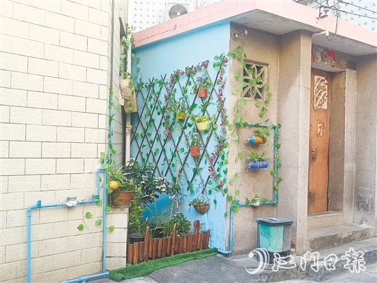 家门口的立体小花园为禾冈村注入生机与活力。