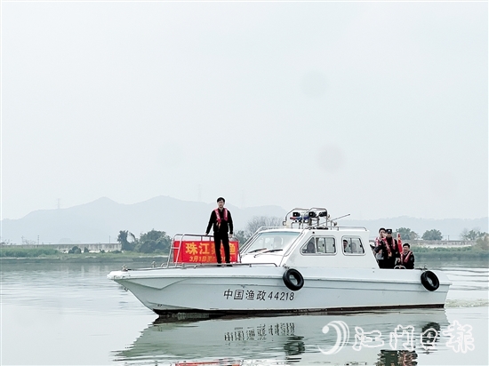 执法人员在西江支流新会段进行巡查。