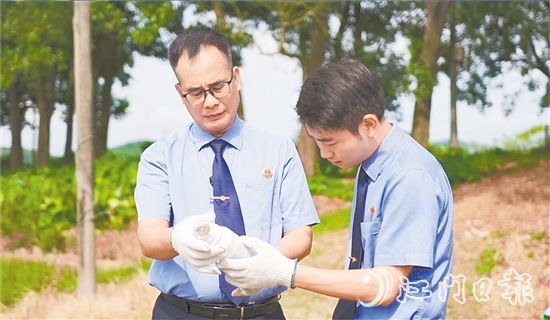 恩平市检察院以公益诉讼为切入口，构建农资安全全流程监管体系。