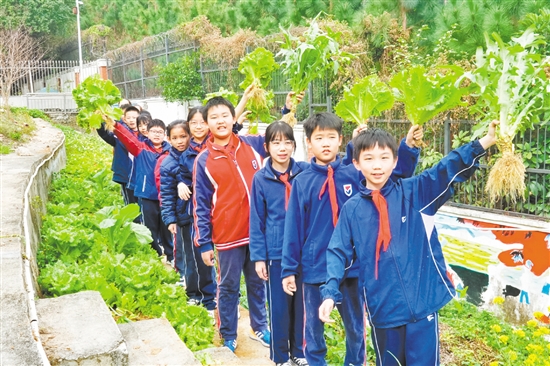在鹤山市碧桂园学校“桃李园”劳动实践基地，学生们采摘自己种下的劳动成果，感受劳动的乐趣与收获的喜悦。
