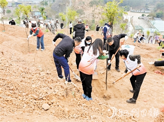 2025年蓬江区乡村绿化主题植树活动在五洞村举行，党员群众携手种下一棵棵树苗。