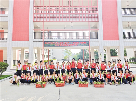 学校举办收获节活动，组织各班学生进园采摘成熟的玉米。