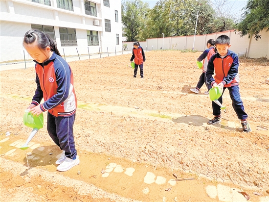学生们为班级“责任田”中刚刚播种的花生浇水。