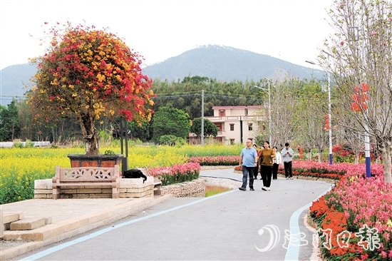 在鹤城镇城西村忠心岗,油菜花、金鱼草、三角梅竞相开放。 在鹤城镇城西村忠心岗,油菜花、金鱼草、三角梅竞相开放。