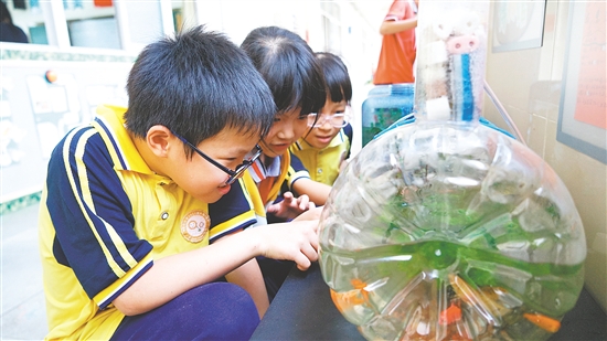 “迷你自然博物馆”让学生课间不“疯跑”。