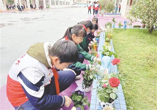 学生们亲手培植的绿植生机盎然。