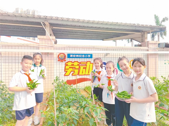 学生们在“幸福农场”全程参与从播种到收获的劳动过程。