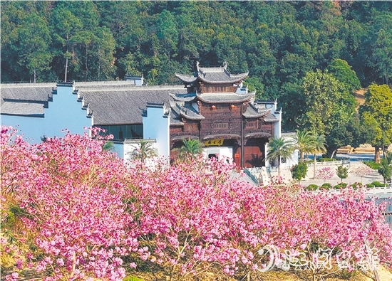 共和镇来苏村利用去年擂台比武获得的奖励资金进行一系列乡村建设。图为来苏山水人家文旅项目。