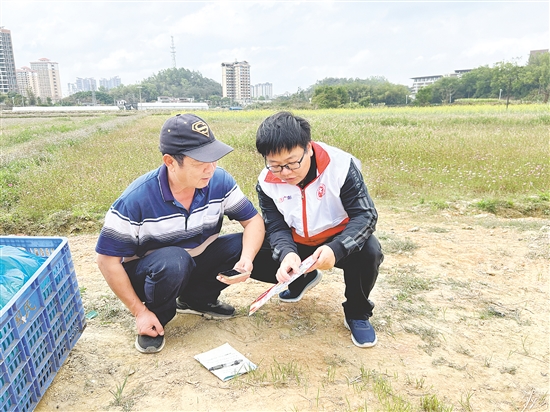 伍艳梨（右）在田间普法。