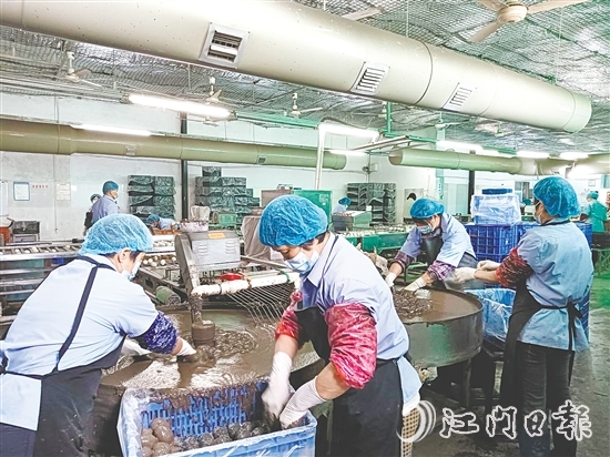 龚边村依托本地特色农业企业,深挖本地特色资源,强龙头、补链条、树品牌,将传统手艺转化为年产值超2000万元的支柱产业,一枚枚咸香流油的咸鸭蛋成为富民强村的“金钥匙”。 龚边村依托本地特色农业企业,深挖本地特色资源,强龙头、补链条、树品牌,将传统手艺转化为年产值超2000万元的支柱产业,一枚枚咸香流油的咸鸭蛋成为富民强村的“金钥匙”。