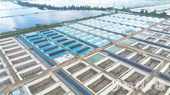 汶村镇今年新引进华辰水产,这是集研发、规模化养殖、生产于一体的现代化项目。 汶村镇今年新引进华辰水产,这是集研发、规模化养殖、生产于一体的现代化项目。