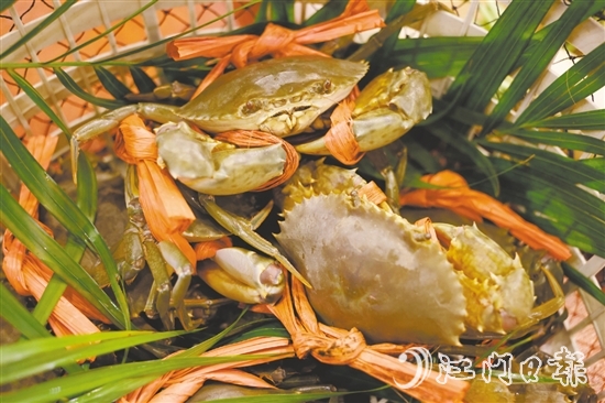 崖门水蟹肉少水多，最适合原只清蒸后用吸管“啜”着吃。