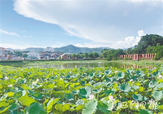 都斛镇大纲村围绕产业发展、人居环境、乡村治理三大重点领域持续发力,打造成为区域乡村振兴的示范样板。 都斛镇大纲村围绕产业发展、人居环境、乡村治理三大重点领域持续发力,打造成为区域乡村振兴的示范样板。