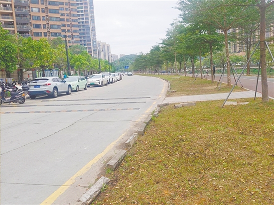 改造前的桂香路为双向单车道，混凝土路面开裂明显，路缘石破损严重。