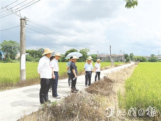 人大代表们到石青村视察典型村建设情况。 人大代表们到石青村视察典型村建设情况。