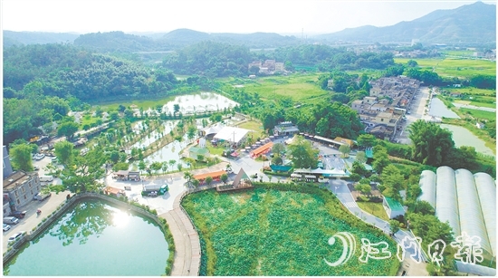 台城街道依托“百千万工程”，立足生态休闲旅游定位，推动桂水村农文旅商融合发展，培育壮大“赏花经济”和农村集体经济。