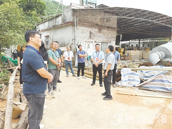 大江镇人大代表走访调研民生实事项目，广泛收集民意。