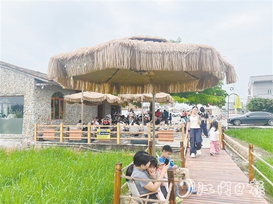 牛江镇牛栏咖啡吸引诸多游客前来打卡。