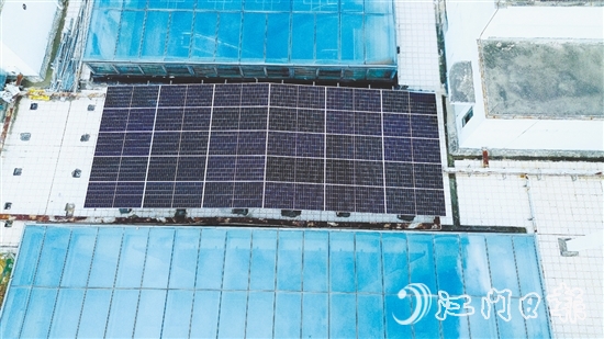 台山市档案馆建筑屋顶上，一片深蓝色的“光能矩阵”正悄然形成。
