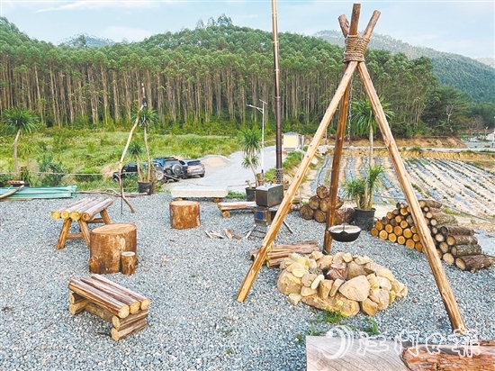 ▲台山本地民宿创新打造了草坪公园、野餐区域，配备相关设施供游客露营、野餐使用。