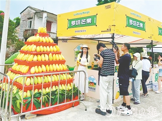 “芒果金字塔”吸引众多游客前来打卡。