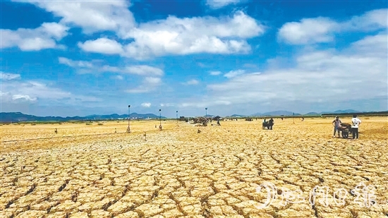 《长安的荔枝》电影剧组在银湖湾滨海新区的取景现场。