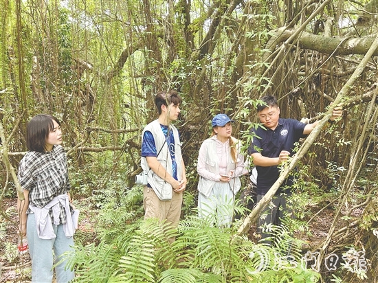 华南农业大学植物保护学院团队实地考察新会小鸟天堂国家湿地公园古榕岛。