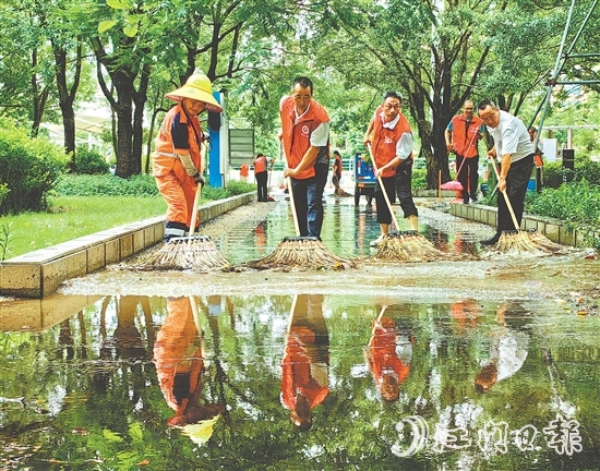 新会区各级党组织党员干部深入基层一线，全力做好防蚊灭蚊工作。