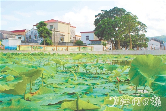 从产业协同到生态蝶变，从设施完善到文化繁荣，川岛镇甫草村甫草村以资源禀赋为基，展现新变化。