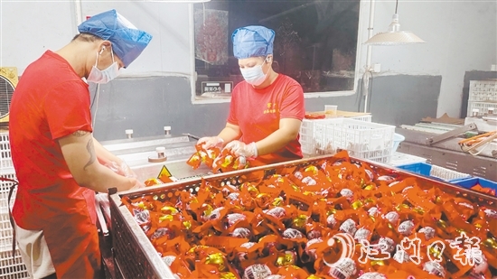 赤水镇依托麻鸭养殖传统优势,锚定“精深加工”做文章。 赤水镇依托麻鸭养殖传统优势,锚定“精深加工”做文章。