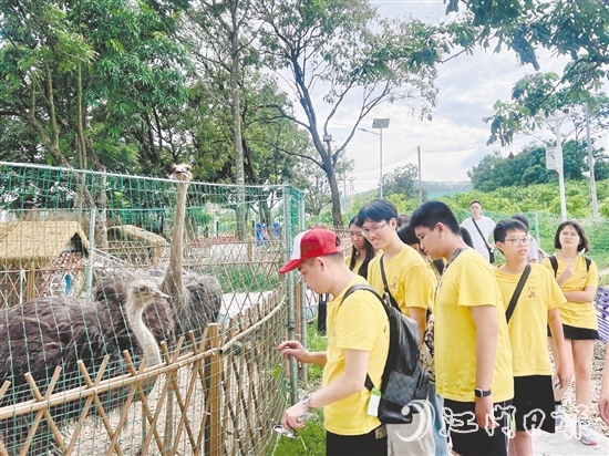 凤乡玉怀民宿打造的体验项目，吸引不少青少年前来参观。