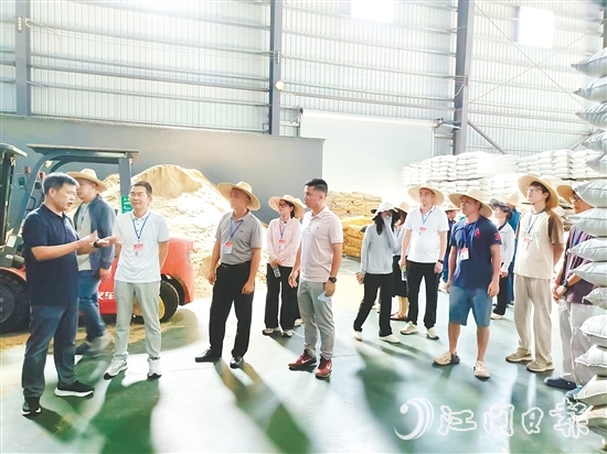 人大代表视察粤翔公司鱼粉加工现场。