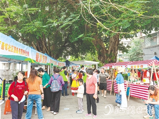 社区社会企业将利润按比例反哺社区公益,形成“服务—收益—反哺”的良性循环。图为蓬江区善邻社区服务有限公司在象山社区开展银发经济集市活动。 社区社会企业将利润按比例反哺社区公益,形成“服务—收益—反哺”的良性循环。图为蓬江区善邻社区服务有限公司在象山社区开展银发经济集市活动。