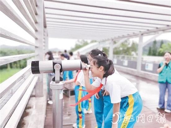 学生们用望远镜观察鸟类活动。