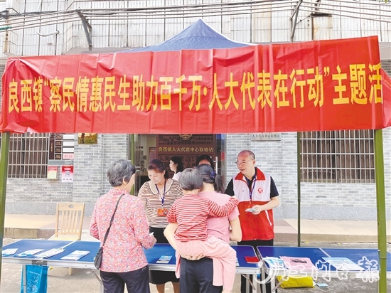 良西镇人大组织开展主题活动。 良西镇人大组织开展主题活动。