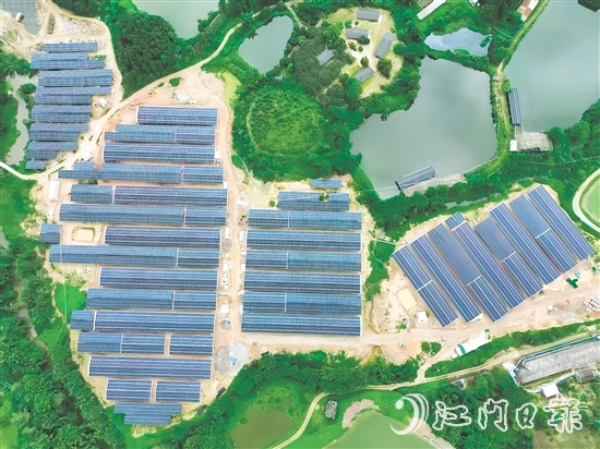 光伏板发的电不仅满足养鸡场自身需求,还能并入电网,产生经济效益。 光伏板发的电不仅满足养鸡场自身需求,还能并入电网,产生经济效益。