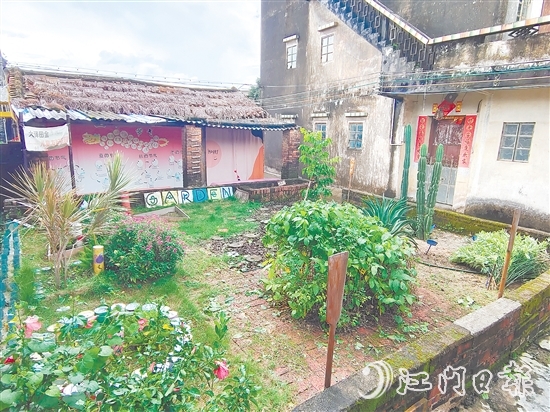 郭一芳家的庭院用沙地植物打造而成，形成层次分明的生态景观。