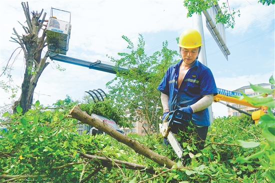 我市城管部门组织人员积极防风，图为工作人员在城区主要路段修剪绿化树。